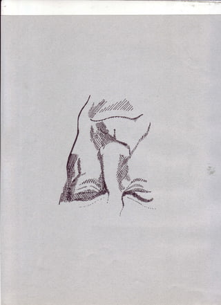 Shannons Ink And Pencil