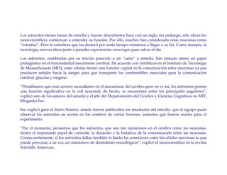 Los astrocitos tienen forma de estrella y fueron descubiertos hace casi un siglo, sin embargo, sólo ahora los
neurocientíficos comienzan a entender su función. Por ello, muchos han considerado estas neuronas como
“extrañas”. Pero la extrañeza que las destacó por tanto tiempo comienza a llegar a su fin. Como siempre, la
tecnología, nuevas ideas junto a pasadas experiencias convergen para salvar el día.

Los astrocitos, nombradas por su torcido parecido a un “astro” o estrella, han tomado ahora un papel
protagónico en el trascendental mecanismo cerebral. De acuerdo con científicos en el Instituto de Tecnología
de Massachussets (MIT), estas células tienen una función capital en la comunicación entre neuronas ya que
producen señales hacia la sangre para que transporte los combustibles esenciales para la comunicación
cerebral: glucosa y oxígeno.

“Pensábamos que eran actores secundarios en el mecanismo del cerebro pero no es así, los astrocitos poseen
una función significativa en la red neuronal, de hecho, se encuentran entre los principales jugadores”,
explicó uno de los autores del estudio y el jefe del Departamento del Cerebro y Ciencias Cognitivas en MIT,
Mriganka Sur.

Sur explicó para el diario Science, donde fueron publicados los resultados del estudio, que el equipo pudo
observar los astrocitos en acción en los cerebros de varios hurones, animales que fueron usados para el
experimento.

“Por el momento, pensamos que los astrocitos, que son tan numerosos en el cerebro como las neuronas,
tienen el importante papel de controlar la duración y la fortaleza de la comunicación entre las neuronas.
Consecuentemente, si los astrocitos fallan también lo harán las conexiones entre las células nerviosas lo que
puede provocar, a su vez, un sinnúmero de desórdenes neurológicos”, explicó el neurocientífico en la revista
Scientific American.
 