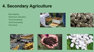 4. Secondary Agriculture
• Bee keeping
• Mushroom cultivation
• Food processing
• Vermicomposting
• Sericulture
 