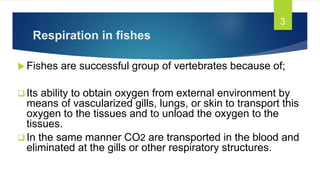 Respiration in fishes
 Fishes are successful group of vertebrates because of;
 Its ability to obtain oxygen from external environment by
means of vascularized gills, lungs, or skin to transport this
oxygen to the tissues and to unload the oxygen to the
tissues.
 In the same manner CO2 are transported in the blood and
eliminated at the gills or other respiratory structures.
3
 