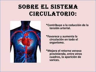 Sobre el SiStema
circulatorio:
*Contribuye a la reducción de la
tensión arterial.
*Favorece y aumenta la
circulación en todo el
organismo.
*Mejora el retorno venoso
previniendo, entre otros
cuadros, la aparición de
varices.
 