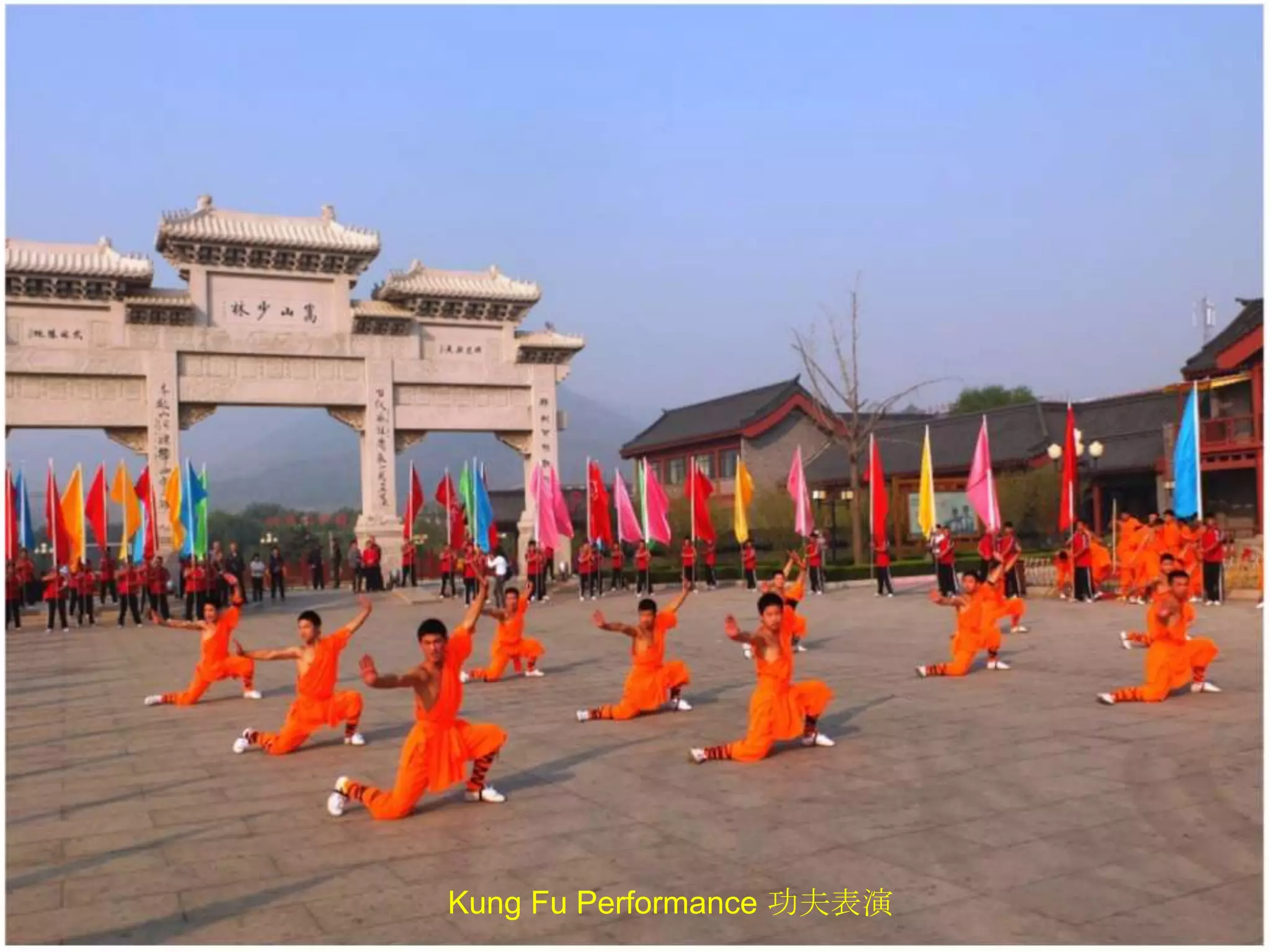 Kung Fu Performance 功夫表演

 