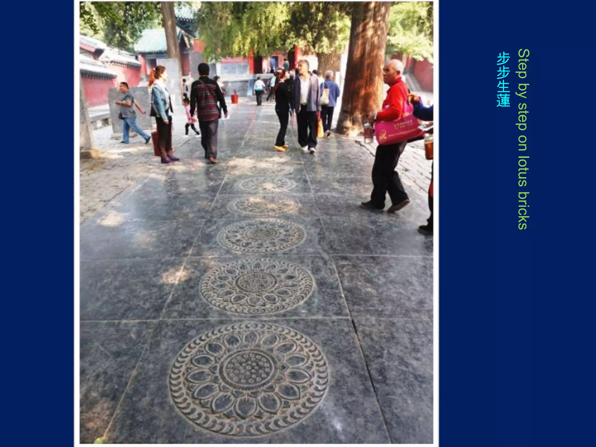 Step by step on lotus bricks
步
步
生
蓮

 