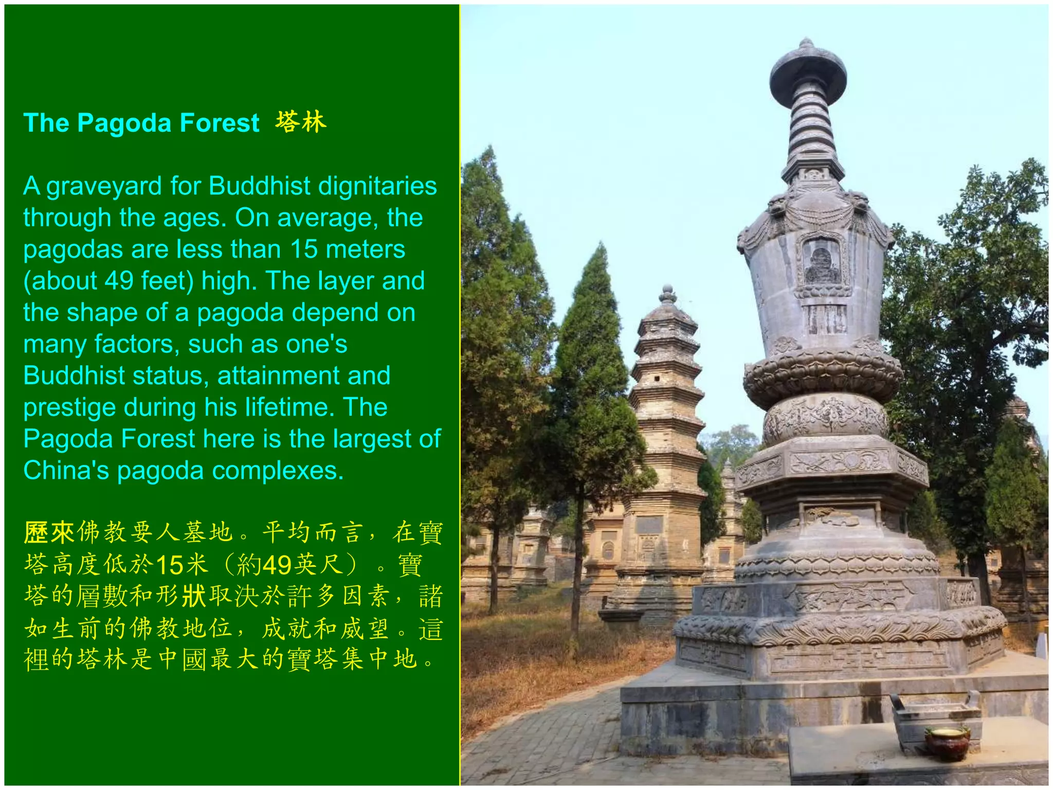 The Pagoda Forest 塔林

A graveyard for Buddhist dignitaries
through the ages. On average, the
pagodas are less than 15 meters
(about 49 feet) high. The layer and
the shape of a pagoda depend on
many factors, such as one's
Buddhist status, attainment and
prestige during his lifetime. The
Pagoda Forest here is the largest of
China's pagoda complexes.
歷來佛教要人墓地。平均而言，在寶
塔高度低於15米（約49英尺）。寶
塔的層數和形狀取決於許多因素，諸
如生前的佛教地位，成就和威望。這
裡的塔林是中國最大的寶塔集中地。

 