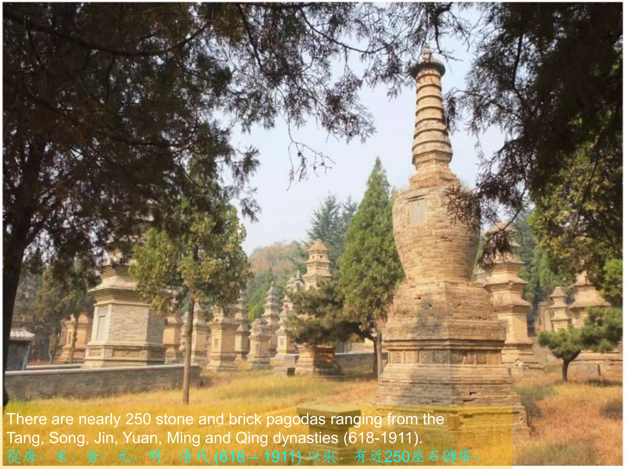 There are nearly 250 stone and brick pagodas ranging from the
Tang, Song, Jin, Yuan, Ming and Qing dynasties (618-1911).
從唐，宋，金，元，明，清代 (618 – 1911) 以來，有近250座石磚塔。

 