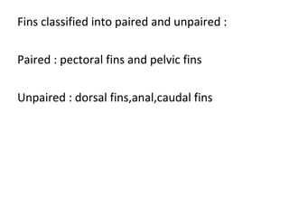 Fins classified into paired and unpaired :
Paired : pectoral fins and pelvic fins
Unpaired : dorsal fins,anal,caudal fins