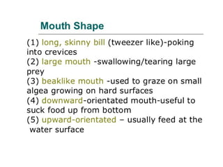 Shape