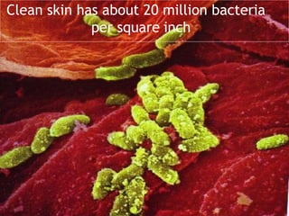 Clean skin has about 20 million bacteria
per square inch
 