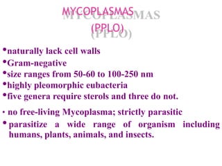 MYCOPLASMAS
(PPLO)
•naturally lack cell walls
•Gram-negative
•size ranges from 50-60 to 100-250 nm
•highly pleomorphic eubacteria
•five genera require sterols and three do not.
• no free-living Mycoplasma; strictly parasitic
•parasitize a wide range of organism including
humans, plants, animals, and insects.
 
