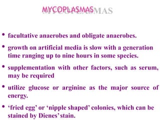 MYCOPLASMAS
• facultative anaerobes and obligate anaerobes.
• growth on artificial media is slow with a generation
time ranging up to nine hours in some species.
• supplementation with other factors, such as serum,
may be required
• utilize glucose or arginine as the major source of
energy.
• ‘fried egg’ or ‘nipple shaped’ colonies, which can be
stained by Dienes’stain.
 