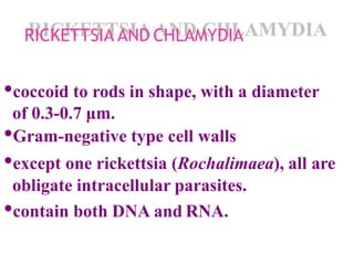 RICKETTSIA AND CHLAMYDIA
•coccoid to rods in shape, with a diameter
of 0.3-0.7 μm.
•Gram-negative type cell walls
•except one rickettsia (Rochalimaea), all are
obligate intracellular parasites.
•contain both DNA and RNA.
 
