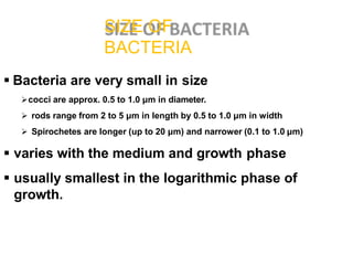  Bacteria are very small in size
cocci are approx. 0.5 to 1.0 μm in diameter.
 rods range from 2 to 5 μm in length by 0.5 to 1.0 μm in width
 Spirochetes are longer (up to 20 μm) and narrower (0.1 to 1.0 μm)
 varies with the medium and growth phase
 usually smallest in the logarithmic phase of
growth.
SIZE OF
BACTERIA
 