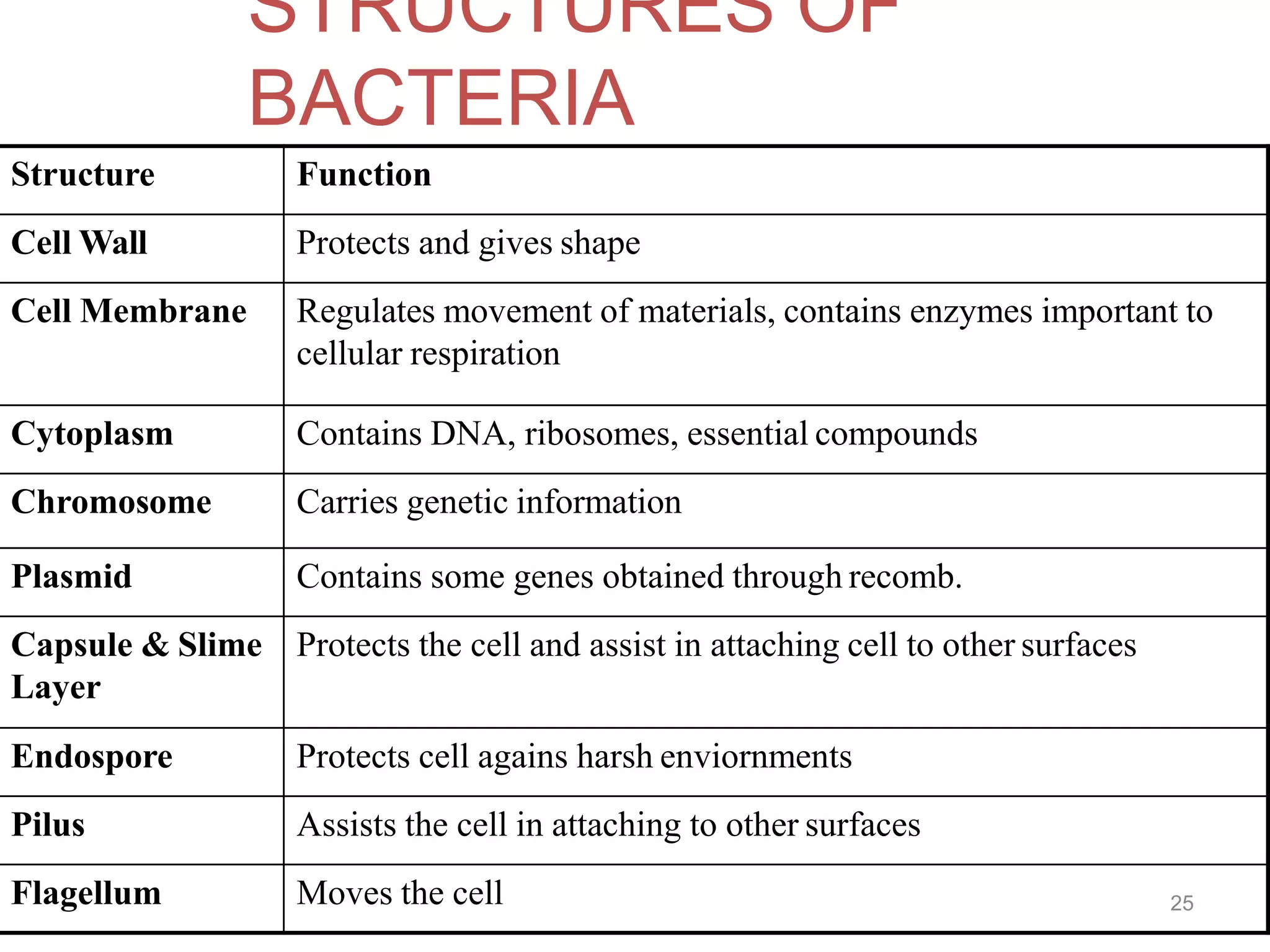 Shape-size-and-arrangment-of-bacteria.pptx