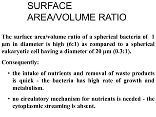 The surface area/volume ratio of a spherical bacteria of 1
µm in diameter is high (6:1) as compared to a spherical
eukaryotic cell having a diameter of 20 µm (0.3:1).
Consequently:
• the intake of nutrients and removal of waste products
is quick - the bacteria has high rate of growth and
metabolism.
• no circulatory mechanism for nutrients is needed - the
cytoplasmic streaming is absent.
SURFACE
AREA/VOLUME RATIO
 