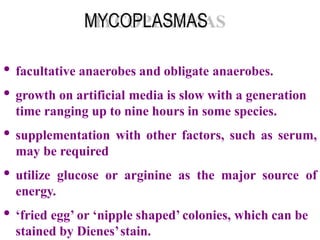 MYCOPLASMAS
• facultative anaerobes and obligate anaerobes.
• growth on artificial media is slow with a generation
time ranging up to nine hours in some species.
• supplementation with other factors, such as serum,
may be required
• utilize glucose or arginine as the major source of
energy.
• ‘fried egg’ or ‘nipple shaped’ colonies, which can be
stained by Dienes’stain.
 