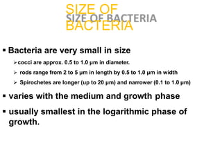  Bacteria are very small in size
cocci are approx. 0.5 to 1.0 μm in diameter.
 rods range from 2 to 5 μm in length by 0.5 to 1.0 μm in width
 Spirochetes are longer (up to 20 μm) and narrower (0.1 to 1.0 μm)
 varies with the medium and growth phase
 usually smallest in the logarithmic phase of
growth.
SIZE OF
BACTERIA
 