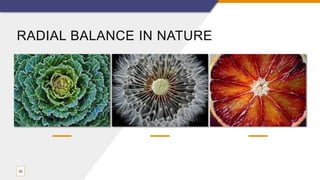 RADIAL BALANCE IN NATURE
32
 