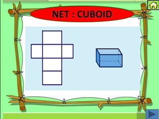 NET : CUBOID
 