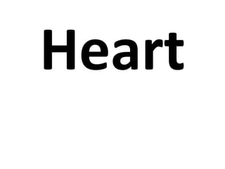 Heart 