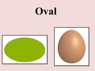 Oval

 
