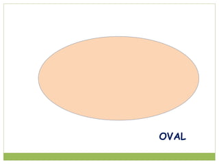 OVAL
 