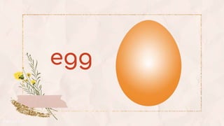 egg
 