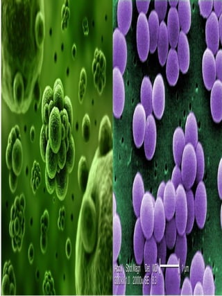 Shapes and arrangements