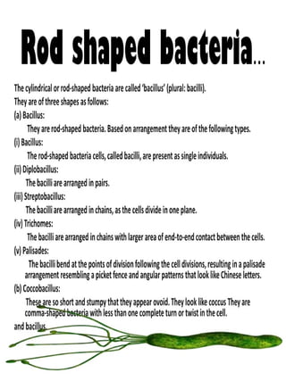 Shapes and arrangements