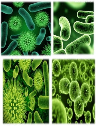 Shapes and arrangements