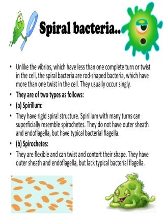 Shapes and arrangements