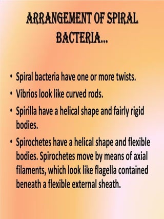 Shapes and arrangements