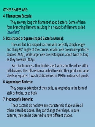 Shapes and arrangements