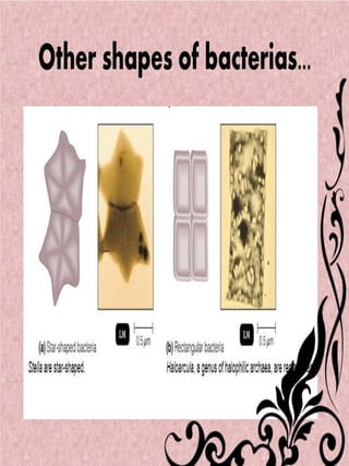 Shapes and arrangements