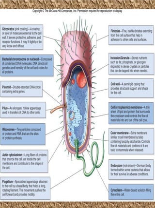 Shapes and arrangements