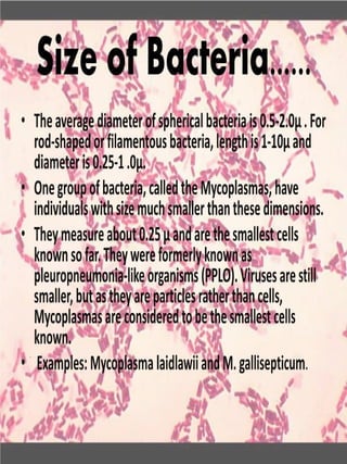 Shapes and arrangements