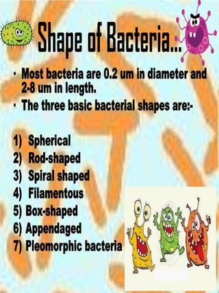 Shapes and arrangements