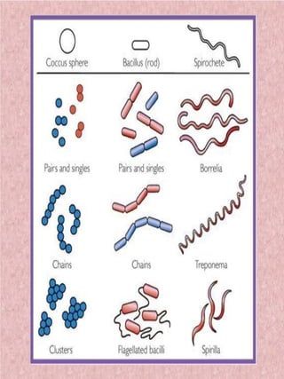 Shapes and arrangements