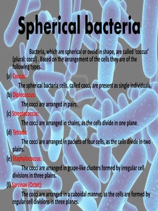Shapes and arrangements