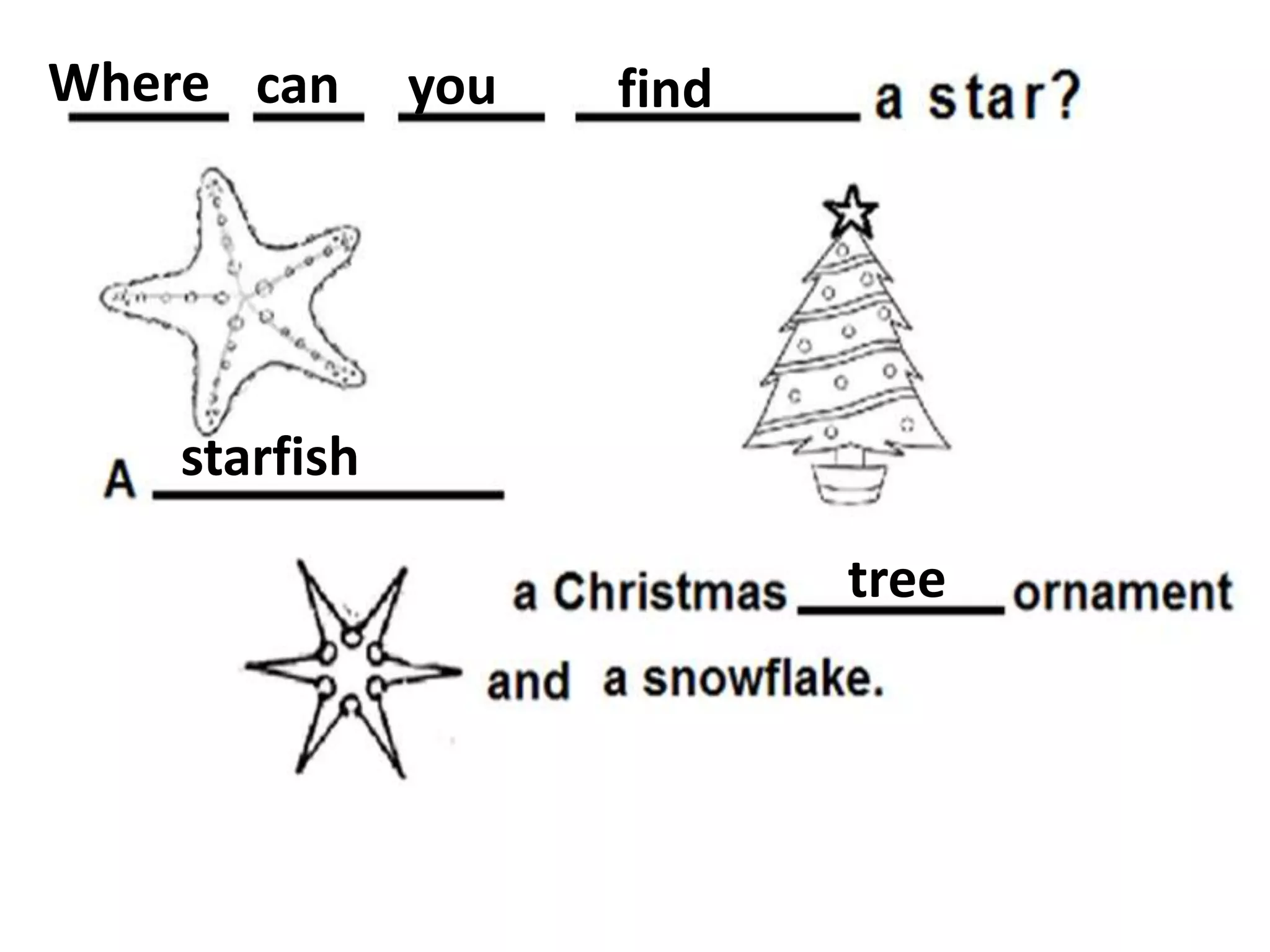 Where can

you

find

starfish
tree

 