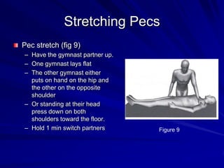 Stretching PecsPec stretch (fig 9)Have the gymnast partner up.One gymnast lays flatThe other gymnast either puts on hand on the hip and the other on the opposite shoulderOr standing at their head press down on both shoulders toward the floor.Hold 1 min switch partnersFigure 9