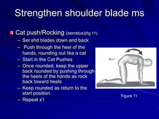 Strengthen shoulder blade msCat push/Rocking (serratus)(fig 11)Set shd blades down and back Push through the heel of the hands, rounding out like a catStart in the Cat PushesOnce rounded, keep the upper back rounded by pushing through the heels of the hands as rock back toward heelsKeep rounded as return to the start position.Repeat x1Figure 11 