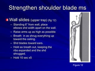 Strengthen shoulder blade msWall slides (upper trap) (fig 12)Standing 6” from wall, place elbows shd width apart on the wall.Raise arms up as high as possibleBreath  in as shrug everything up toward the ceiling.Shd blades toward ears.Hold as breath out, keeping the ribs expanded and the shd shrugged.Hold 10 sec x5Figure 12 