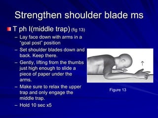 Strengthen shoulder blade msT ph I(middle trap) (fig 13)Lay face down with arms in a “goal post” positionSet shoulder blades down and back. Keep there.Gently, lifting from the thumbs just high enough to slide a piece of paper under the arms.Make sure to relax the upper trap and only engage the middle trap.Hold 10 sec x5Figure 13