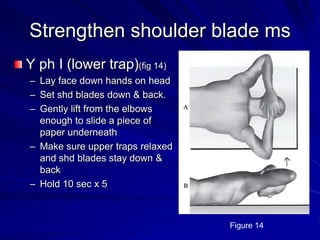 Strengthen shoulder blade msY ph I (lower trap)(fig 14)Lay face down hands on headSet shd blades down & back.Gently lift from the elbows enough to slide a piece of paper underneathMake sure upper traps relaxed and shd blades stay down & backHold 10 sec x 5Figure 14 
