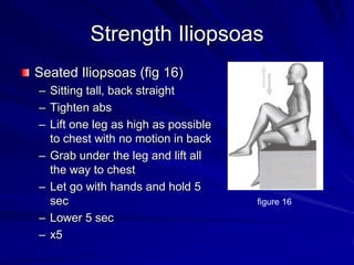 Strength IliopsoasSeated Iliopsoas (fig 16)Sitting tall, back straightTighten absLift one leg as high as possible to chest with no motion in back Grab under the leg and lift all the way to chestLet go with hands and hold 5 secLower 5 secx5figure 16