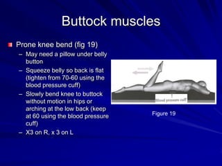 Buttock musclesProne knee bend (fig 19)May need a pillow under belly buttonSqueeze belly so back is flat (tighten from 70-60 using the blood pressure cuff)Slowly bend knee to buttock without motion in hips or arching at the low back (keep at 60 using the blood pressure cuff)X3 on R, x 3 on LFigure 19