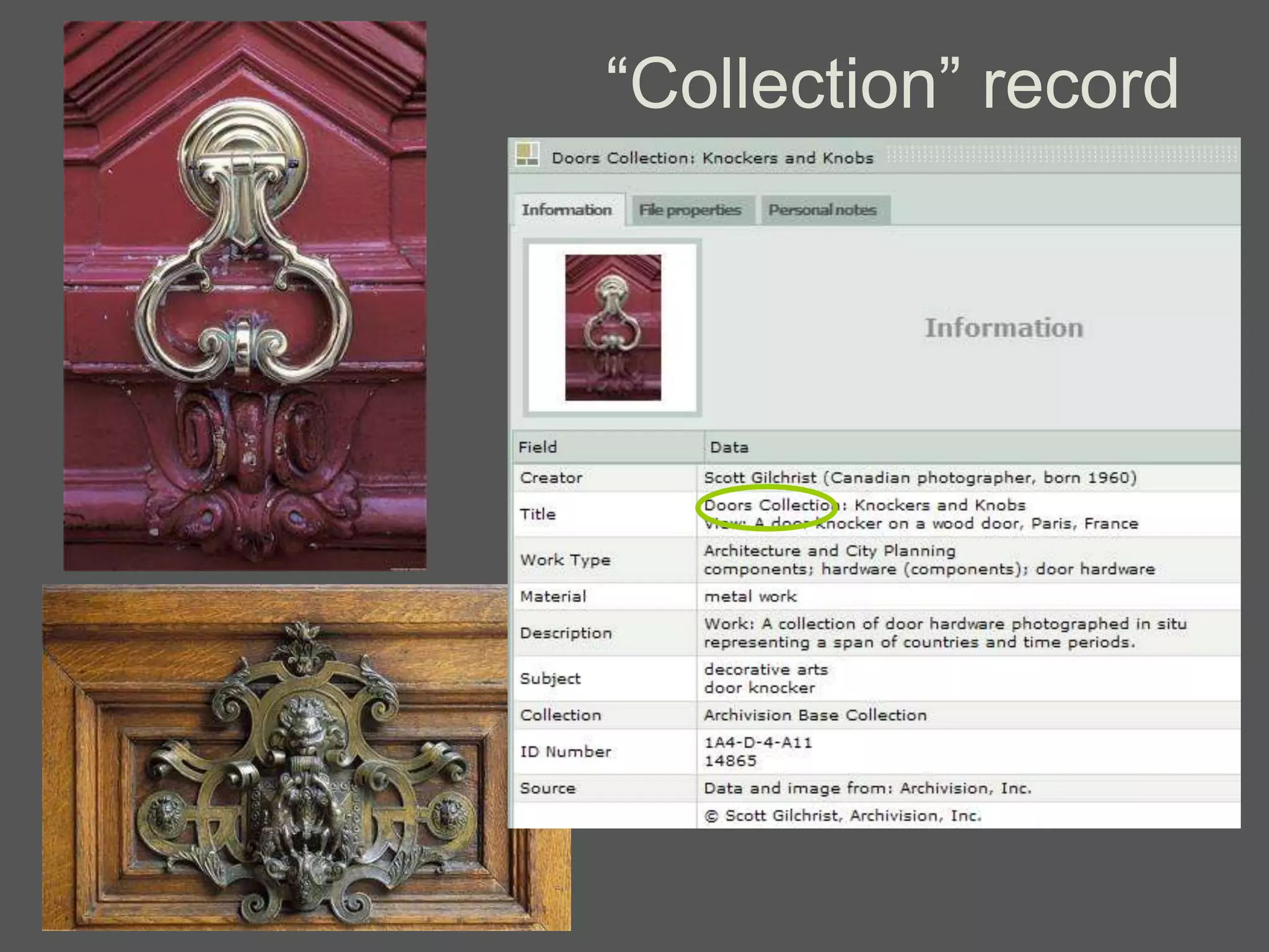 ―Collection‖ record
 