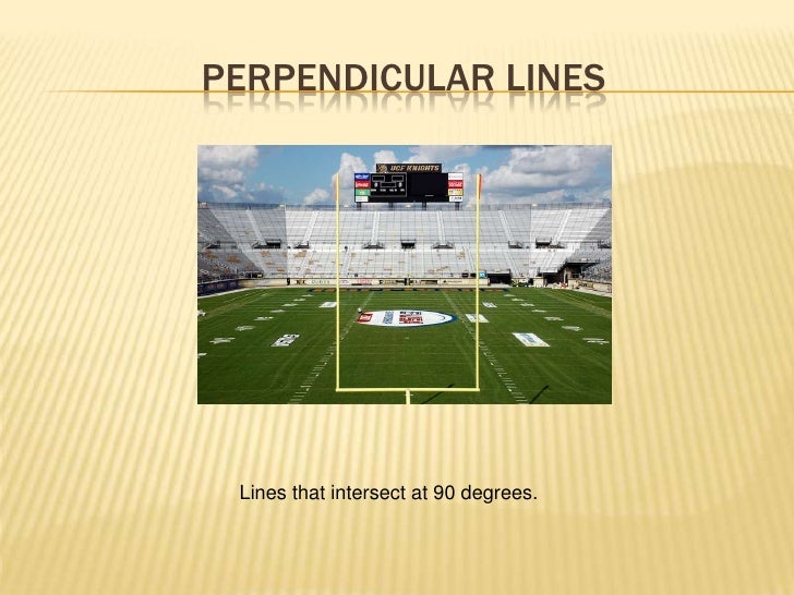 Shapes In Sports Copy