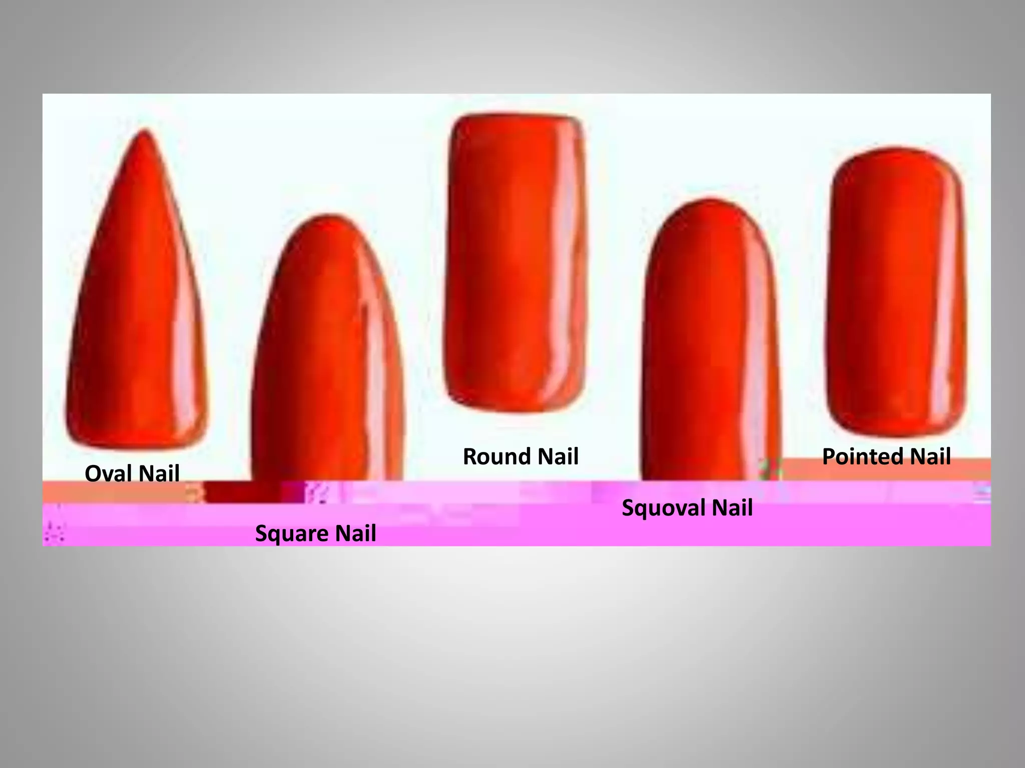 Oval Nail
Square Nail
Round Nail
Squoval Nail
Pointed Nail