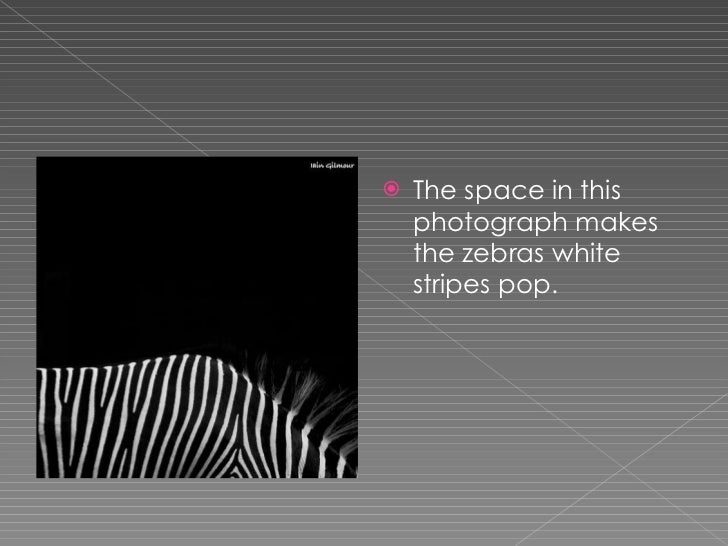 Form Shape And Space : Shape space and form